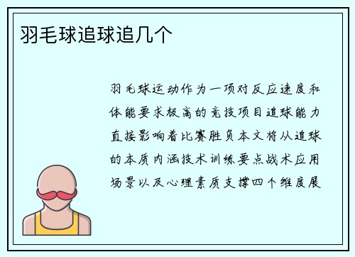 羽毛球追球追几个